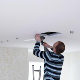 Faux plafond fixe : explorez les possibilités de design avec des motifs originaux Villefranche-de-Lauragais