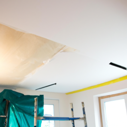 Plafond lambris : créez une atmosphère cosy et authentique Labastide-d'Anjou